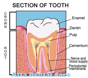 tooth cartoon image